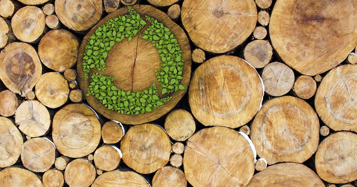 Sustainable Wood Sourcing